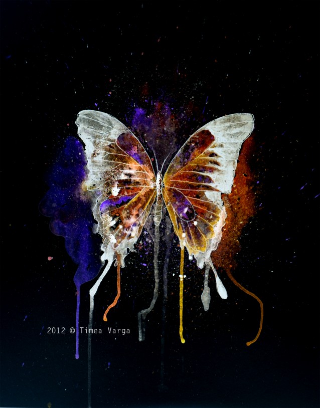butterfly